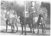 Laika, Valery, Tiga