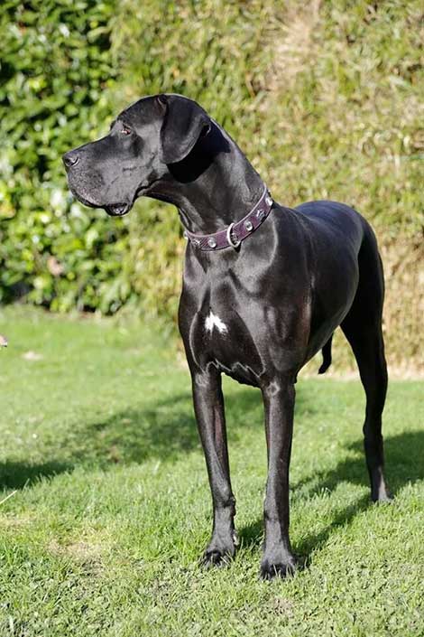 Una-Wilma Perasperaadastra