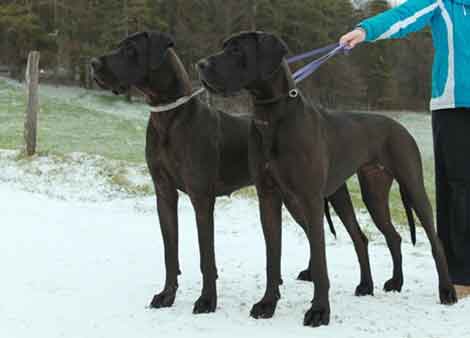 Xelana und Xally