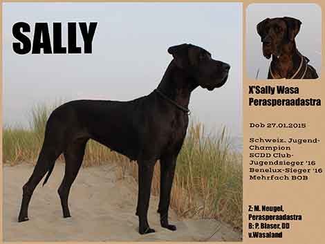 Sally