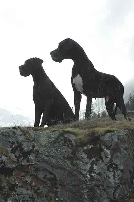Xelana und Verdi