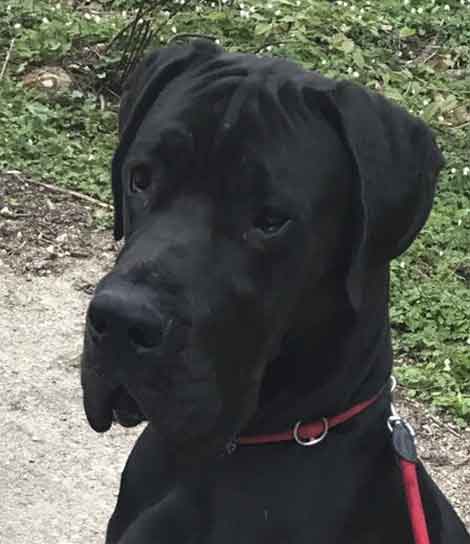 Zeus