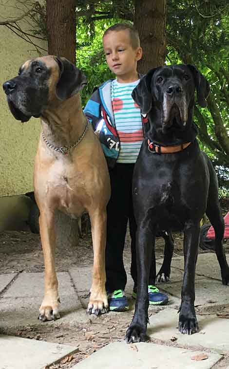 Ben und Dora